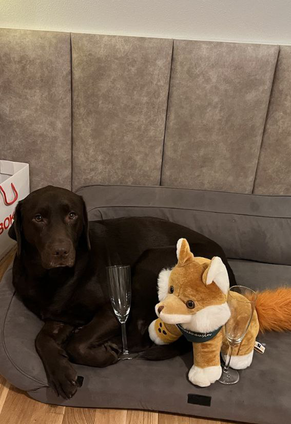 Alma und der Kuscheltier Blindfuchs liegen im Hundebett und stoßen mit Sekt an