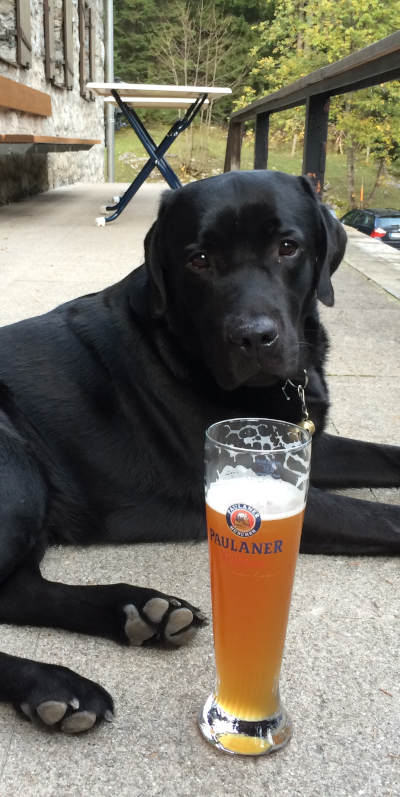 Denny beim Biergartenbesuch