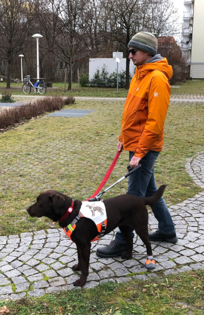 Alma führt mich im neuen Ruffwear UniFly Führgeschirr. Im Bild ist das aufgebrachte weiße Leder zu sehen