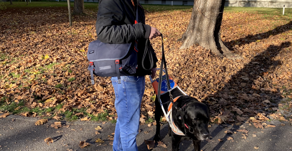 Mit Denny auf einem Herbstspaziergang, die neue Tasche mit den üblichen Kleinigkeiten dabei.