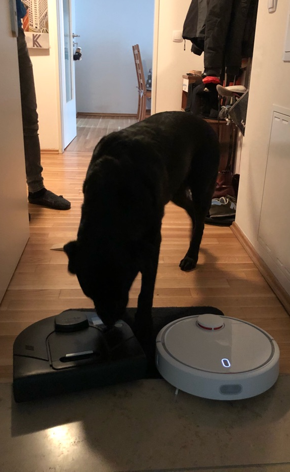 Denny verabschiedet sich vom alten Neato Staubsauger Susi, der neue Xiaomi Robot betritt die Wohnung