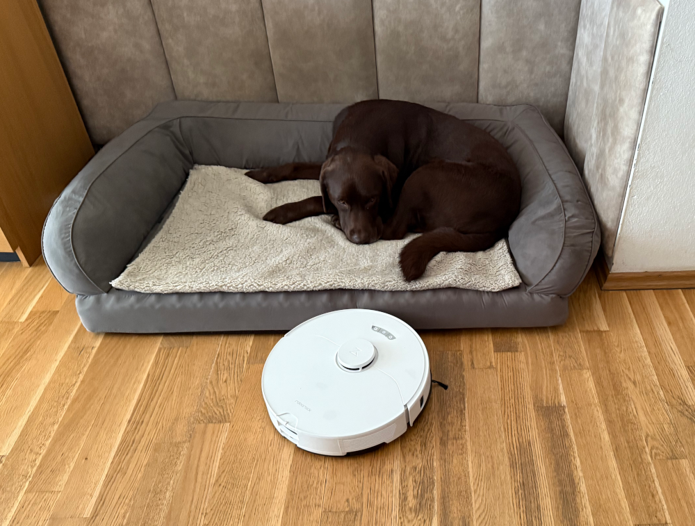 Alma mit ihrer Freundin Sophie, ein Roborock S7 Max Ultra